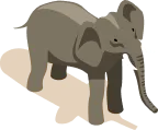 elephant image