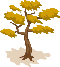 tree image