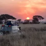 Afrikanische Landschaft