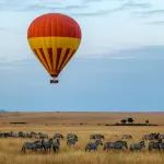 Safari-Abenteuer