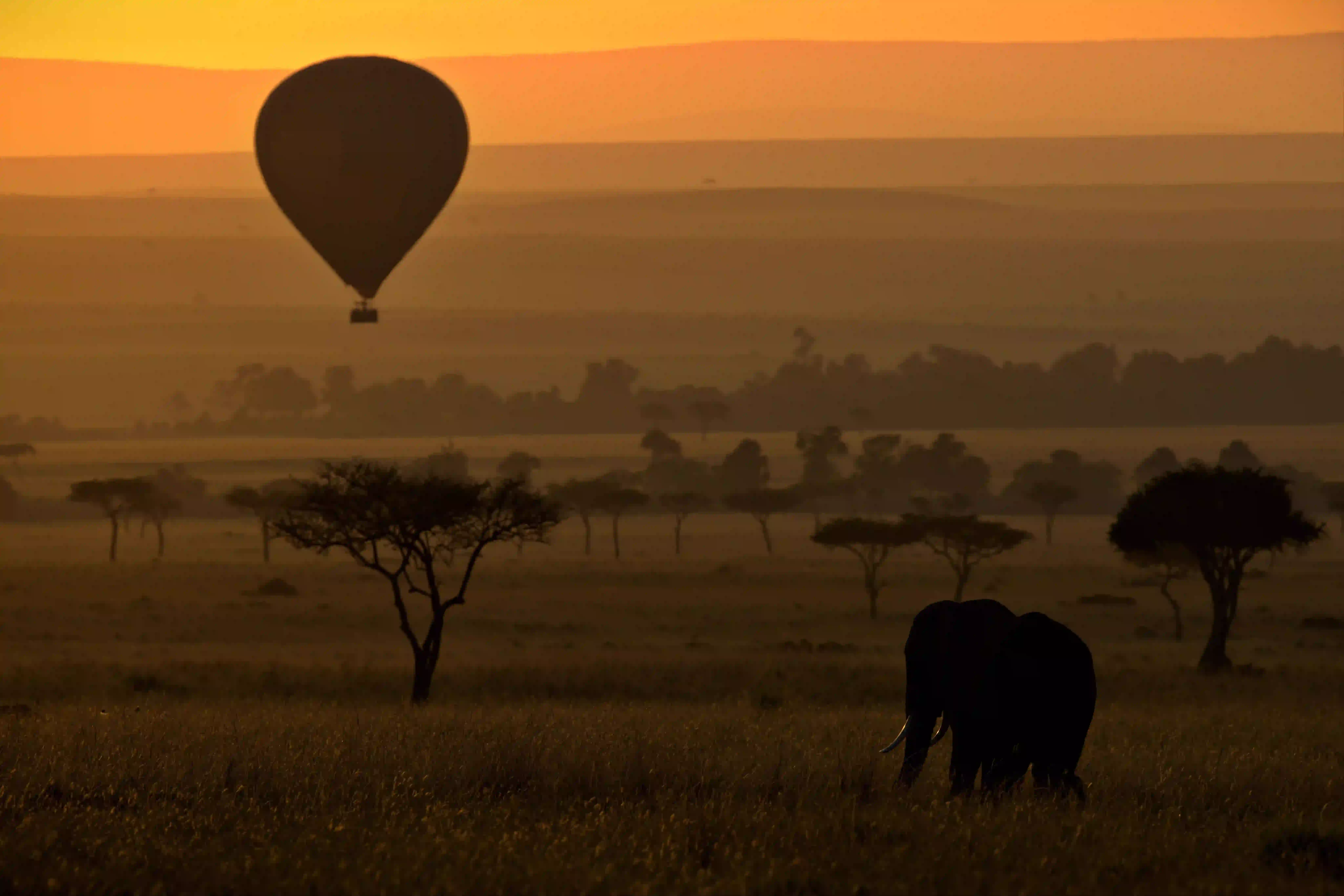 Hot-air balloon over the Serengeti plains at sunrise