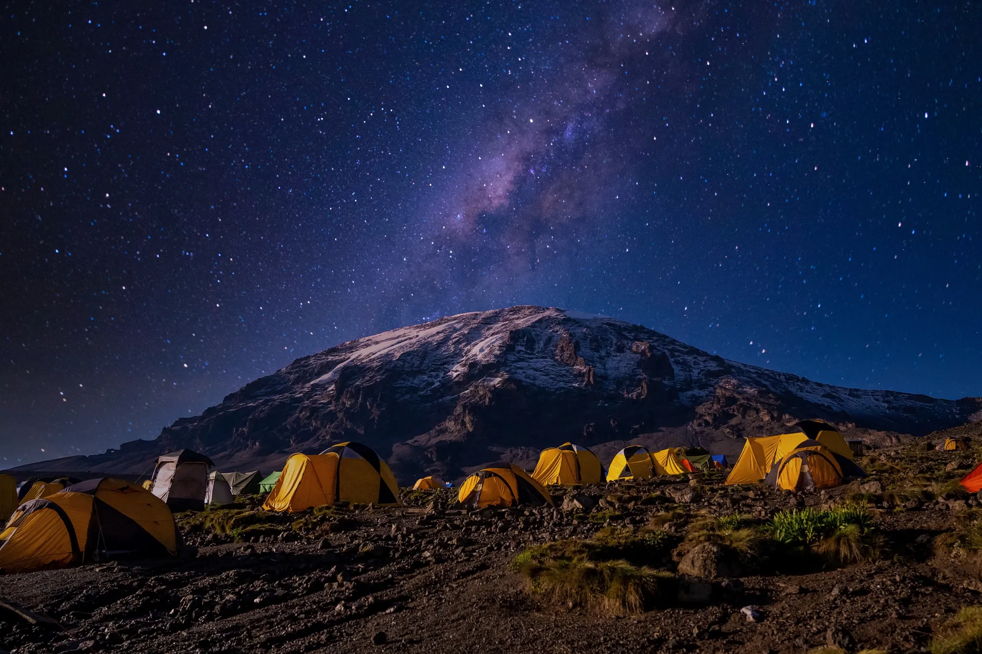 Tiendas amarillas en campamento de altura en el Kilimanjaro — incluidas en paquetes