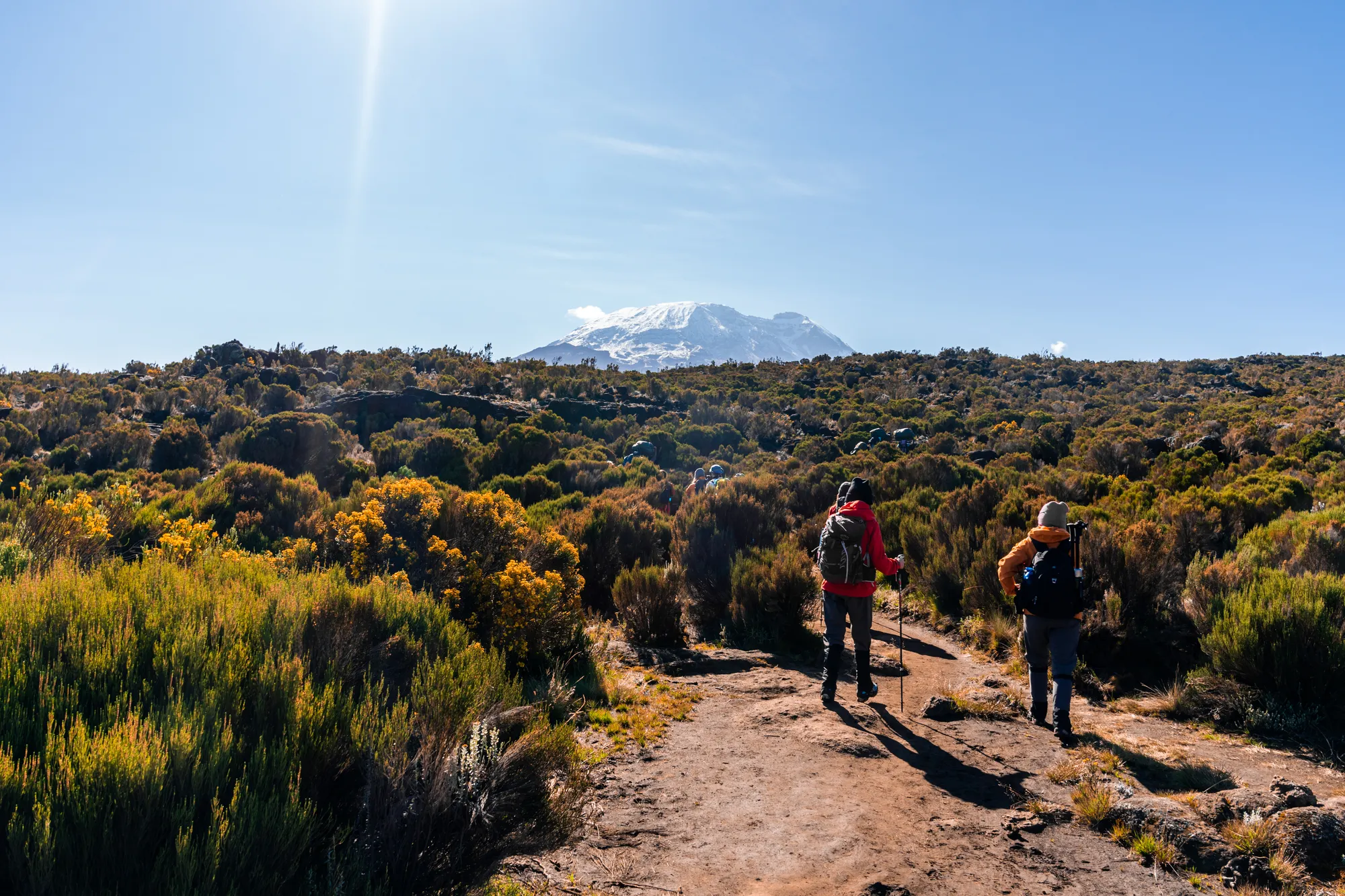 Grupo de senderistas en el sendero del Kilimanjaro en terreno abierto