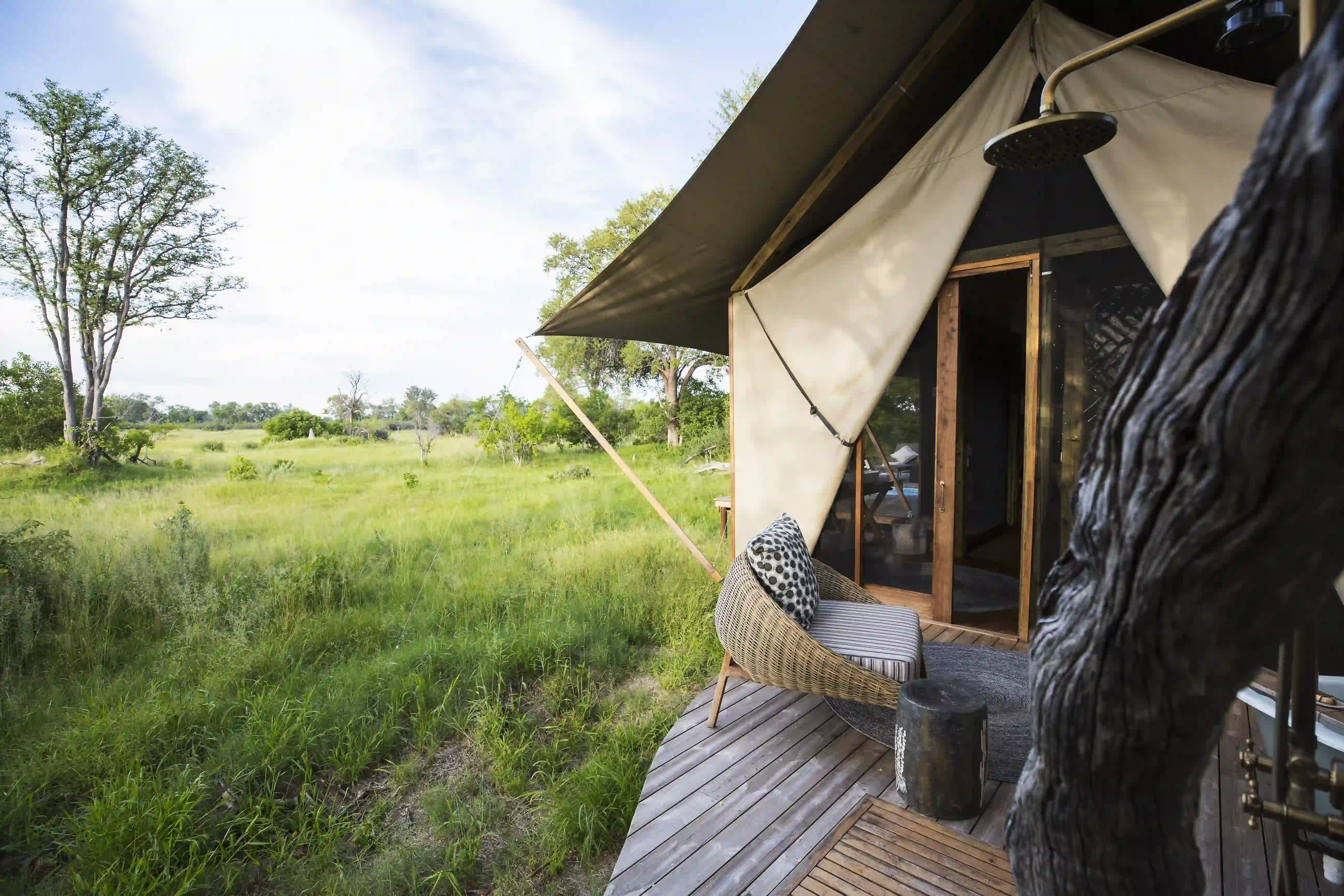 Luxury safari lodge surrounded by greenery