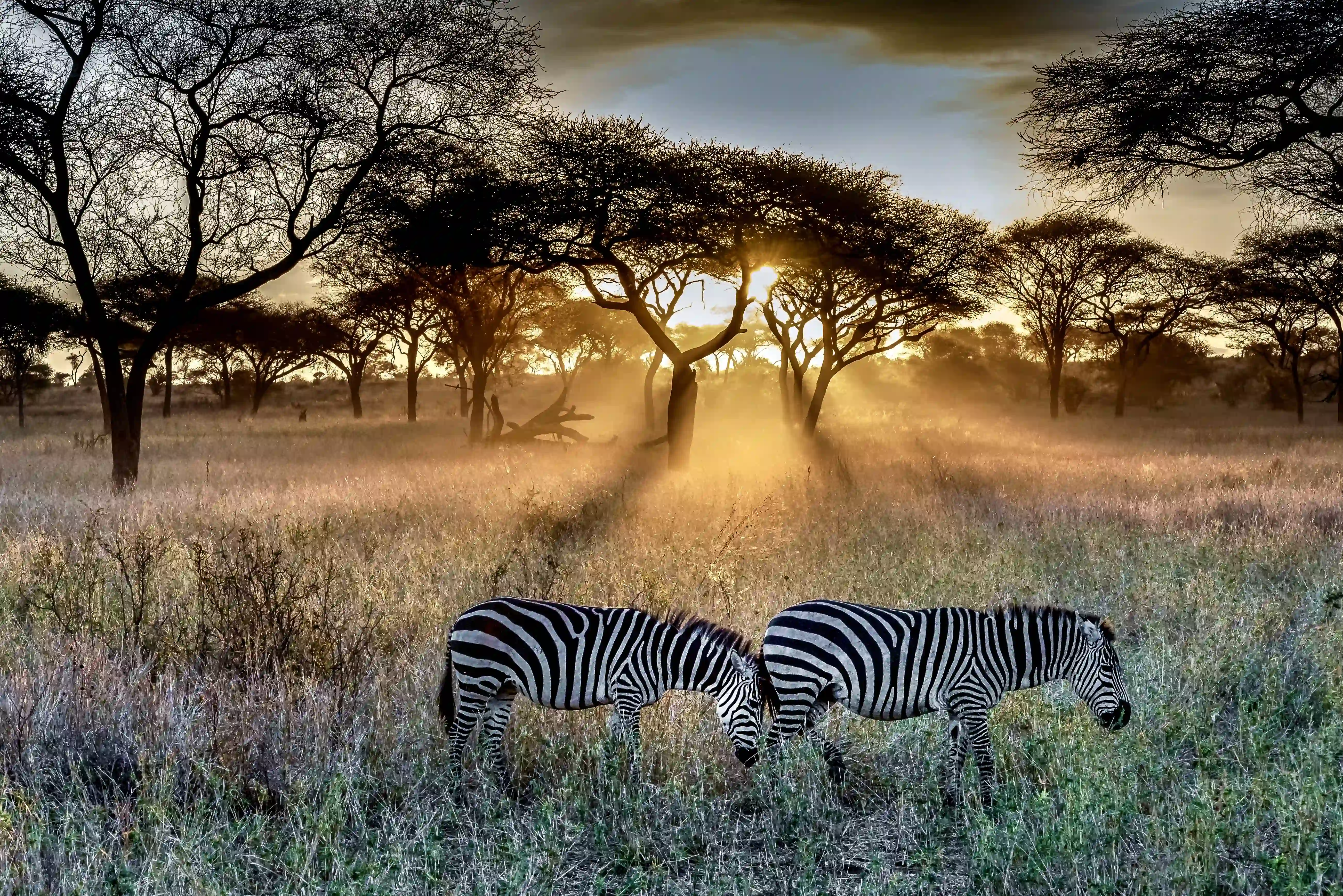 Luxus-Safari-Lodge in Tansania