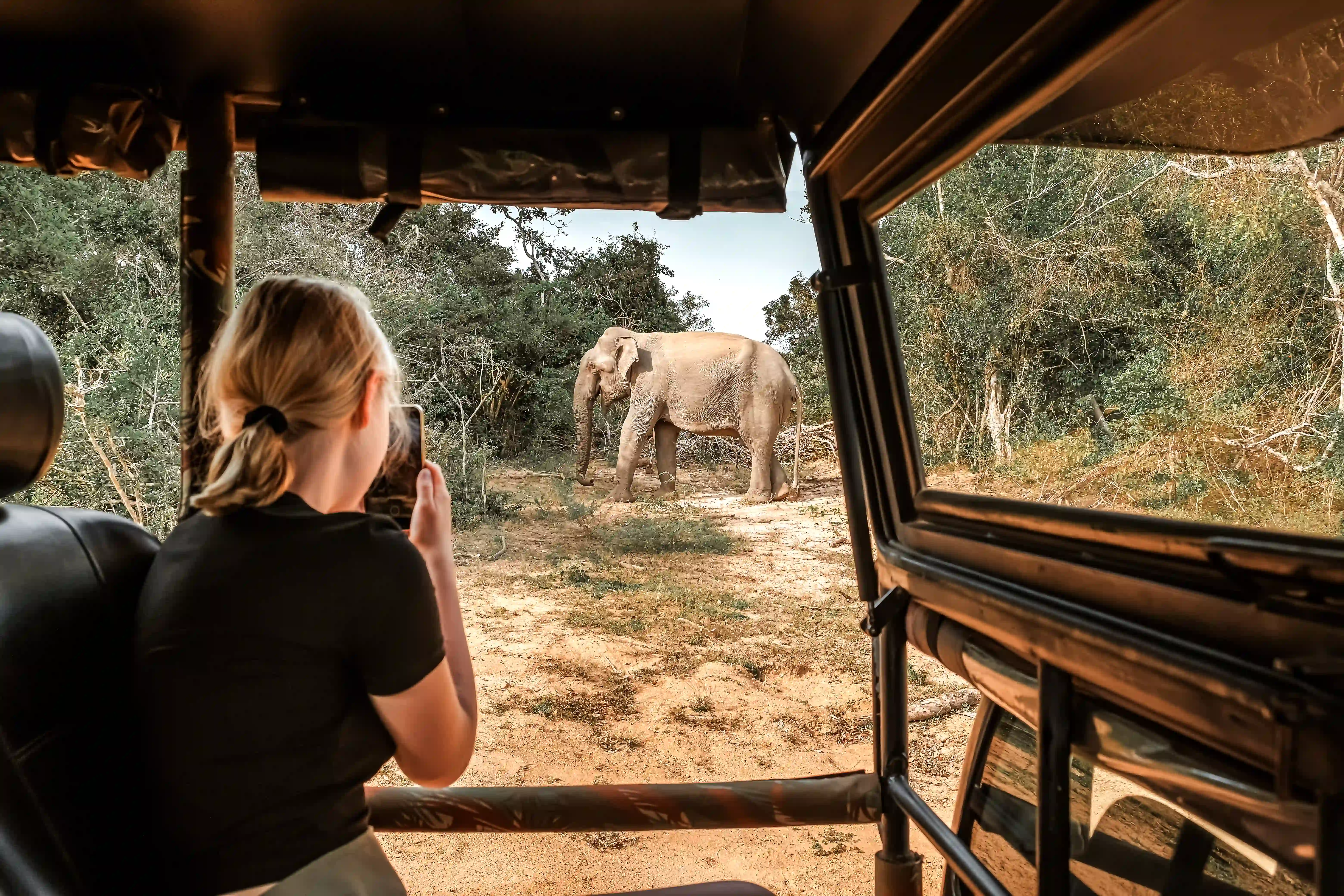 Private Safari