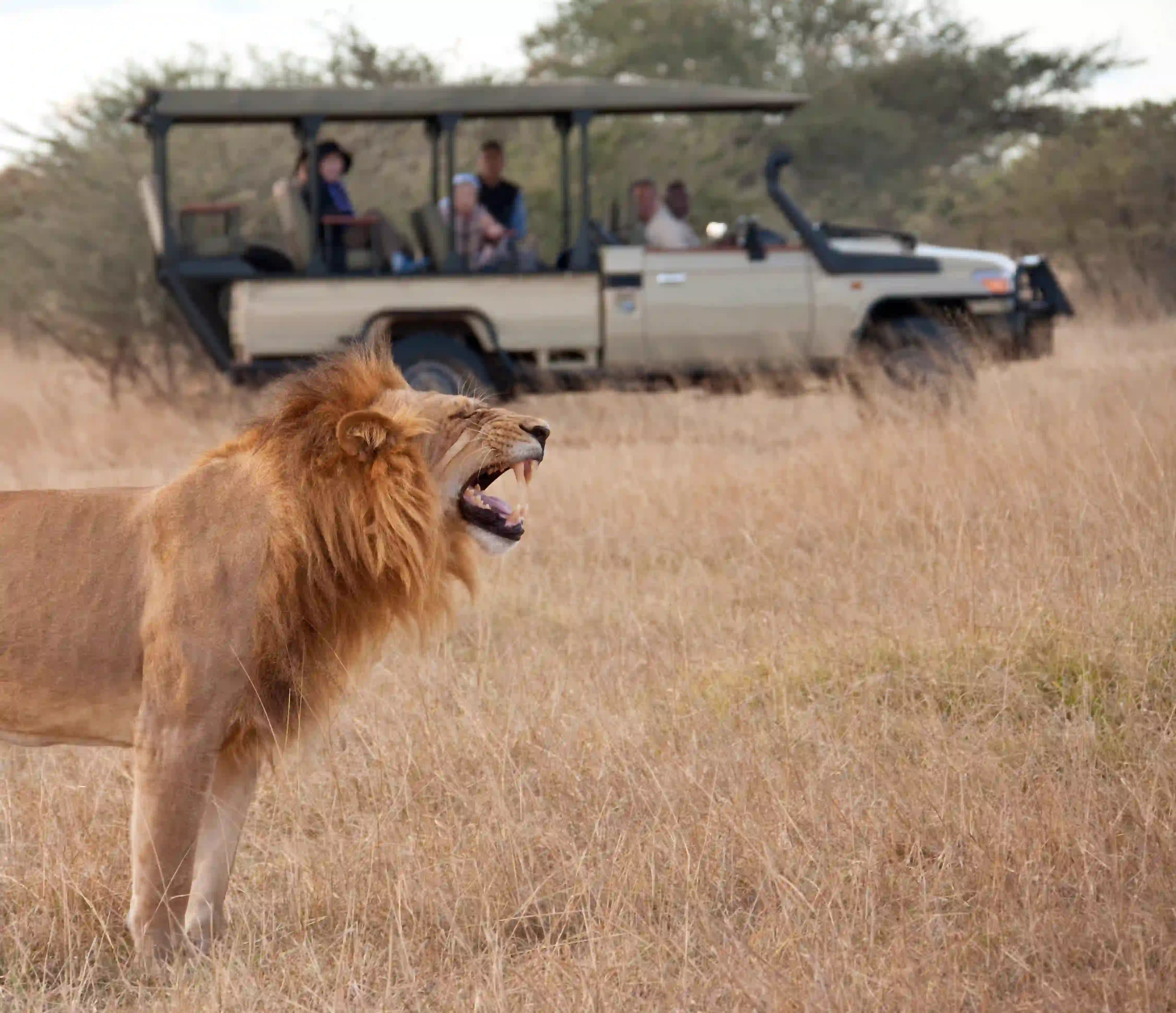 Private safari vehicle in Tanzania