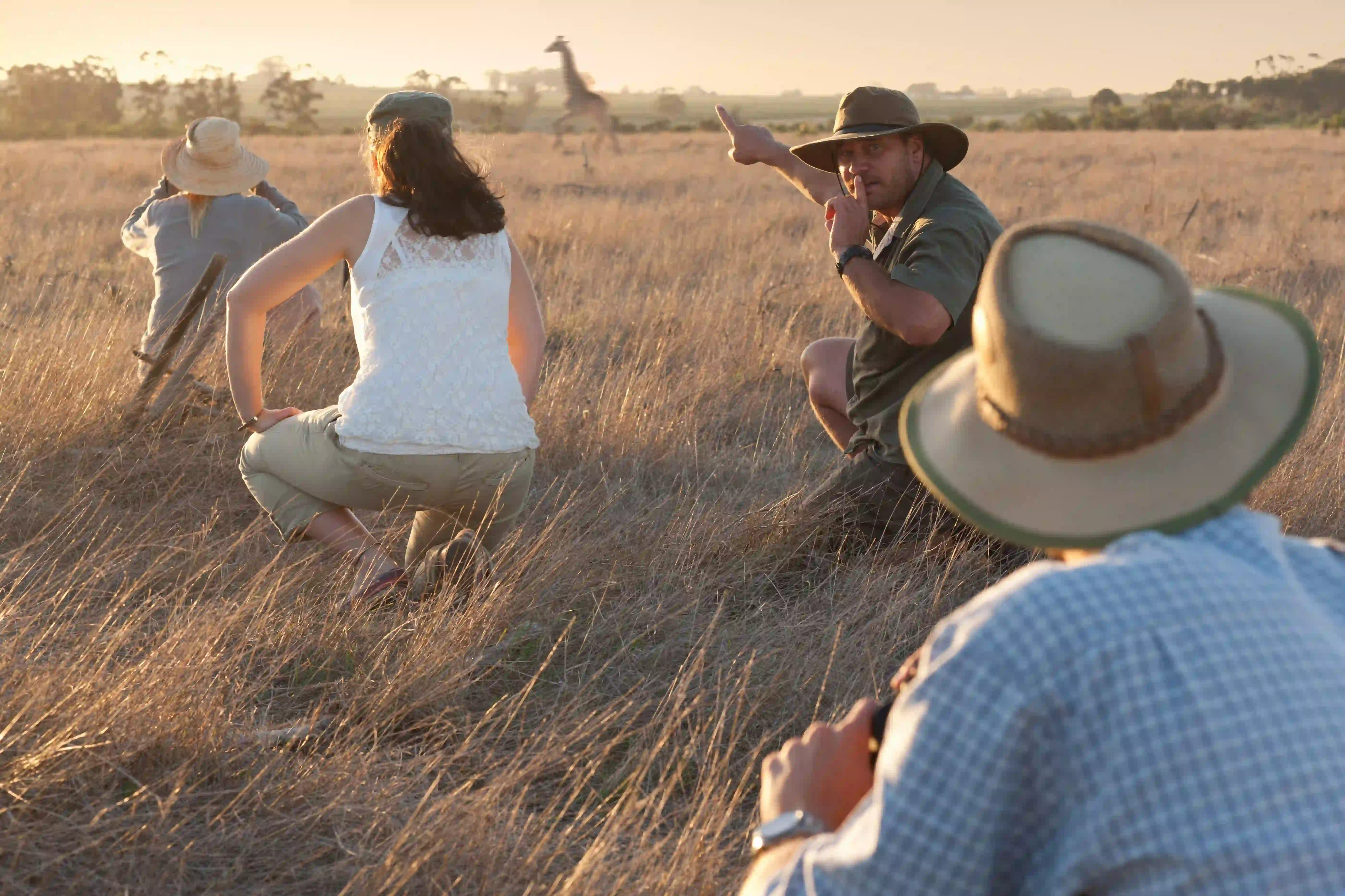 Walking safari landscape with wildlife