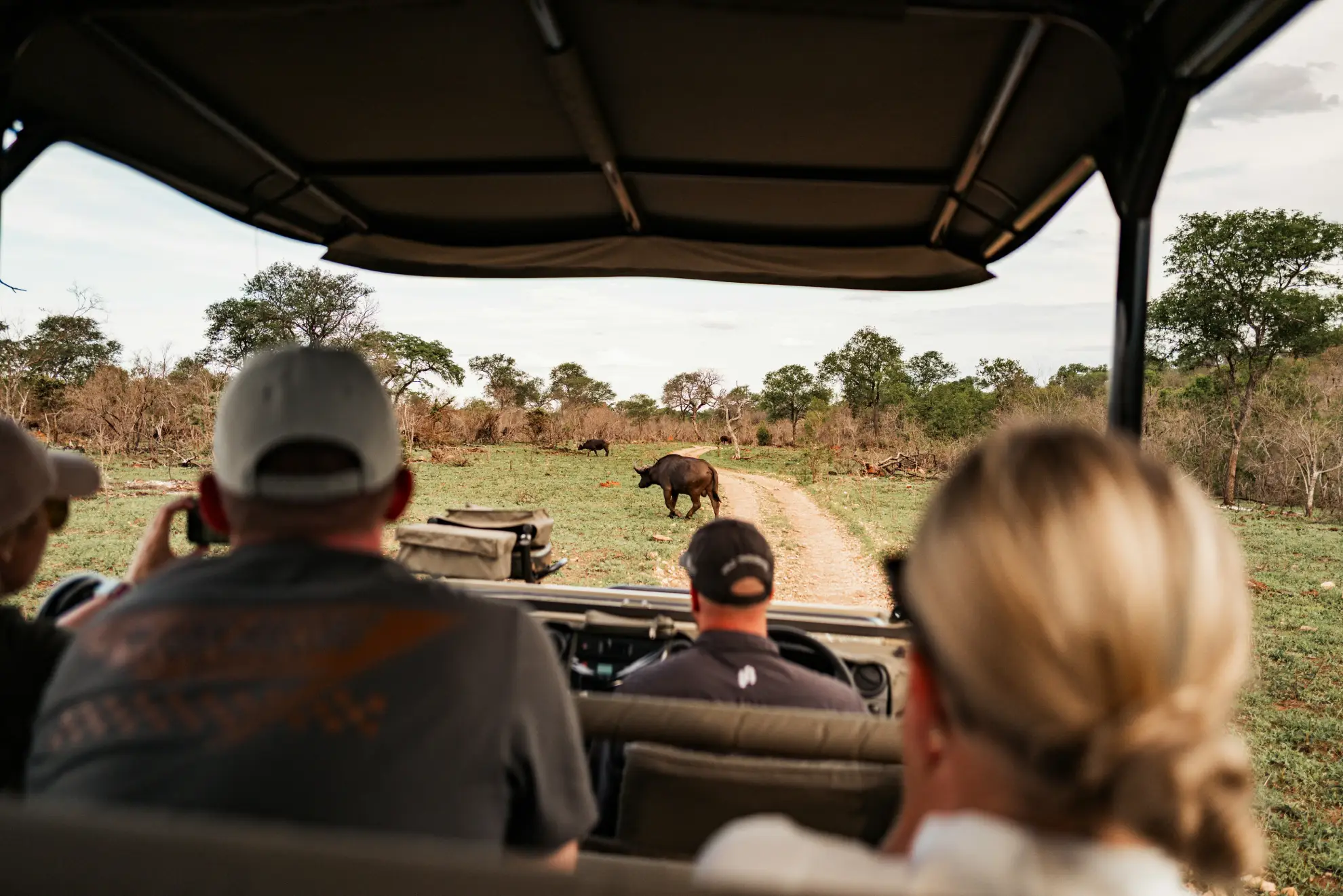 Wildlife photographer shooting from a safari vehicle
