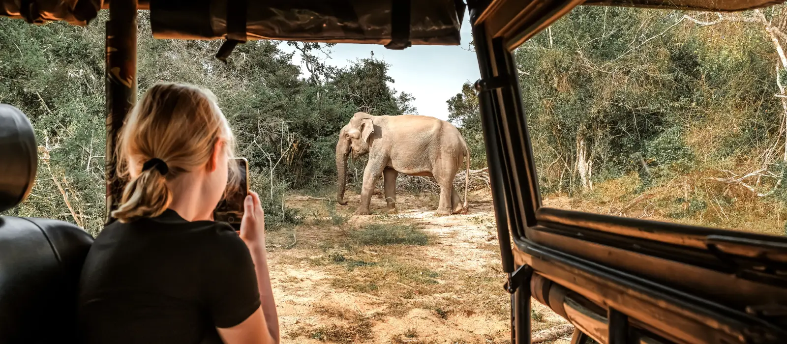 Turista fotografiando un elefante en un safari por Kenia
