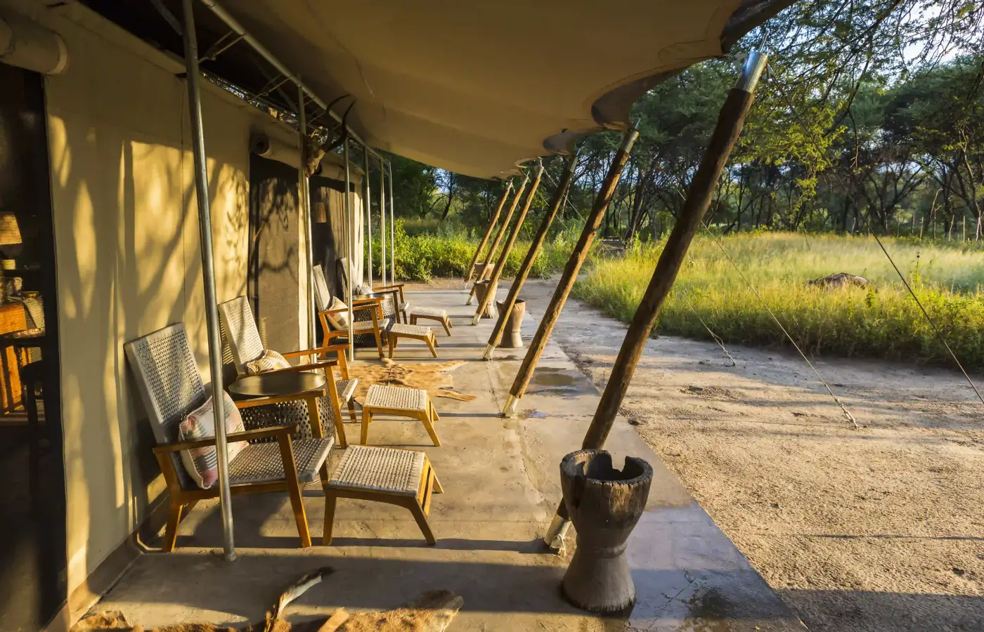 La veranda in tela di un campo tendato affacciata sulla boscaglia
