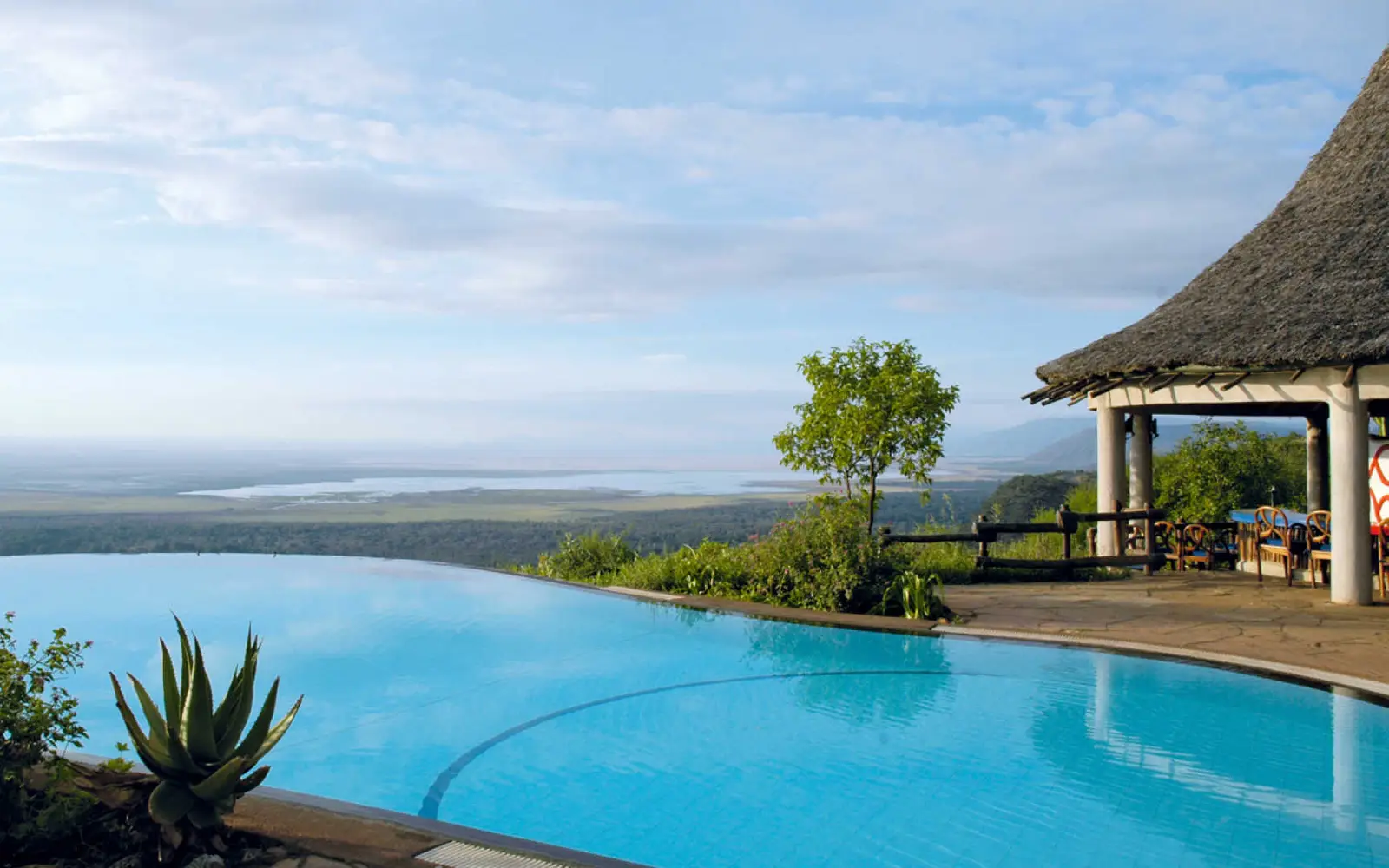 Infinity pool at a safari lodge overlooking the landscape