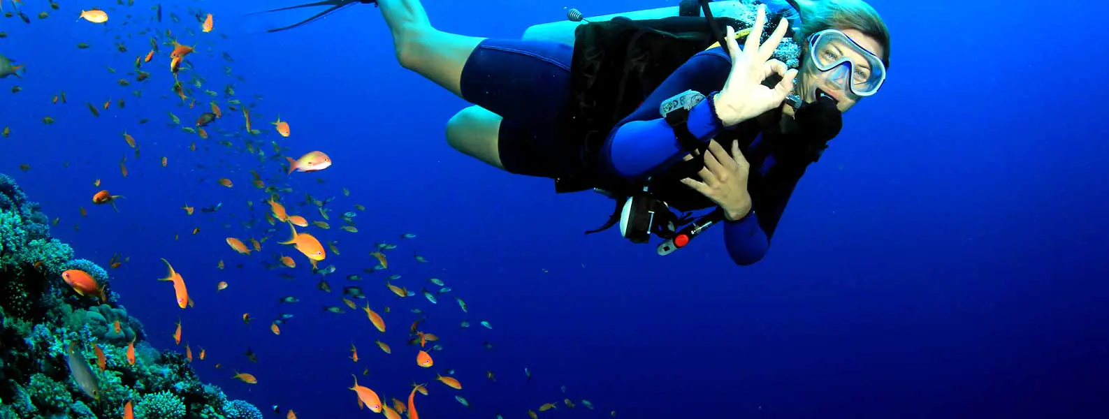 A scuba diver giving the OK sign among small orange reef fish in deep blue water
