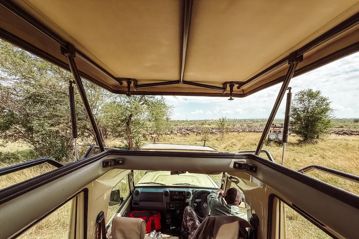 Der Blick über die Ebenen aus einem Safarifahrzeug