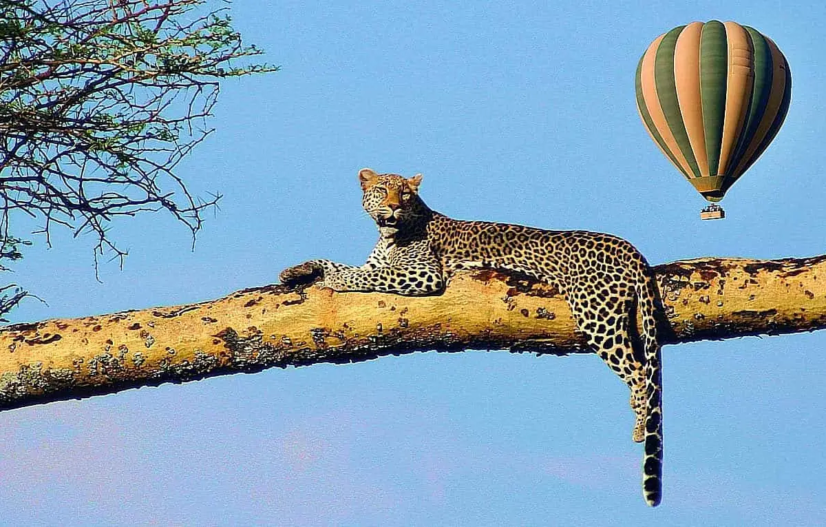 Lake-Manyara-Nationalpark