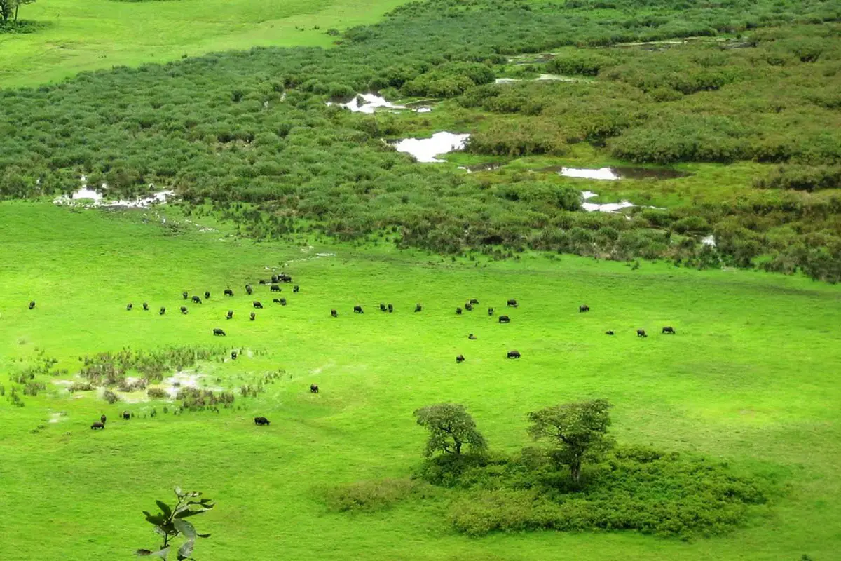 Ngorongoro-Schutzgebiet