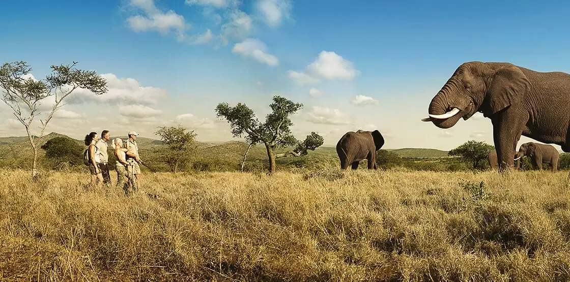 Tarangire-Nationalpark