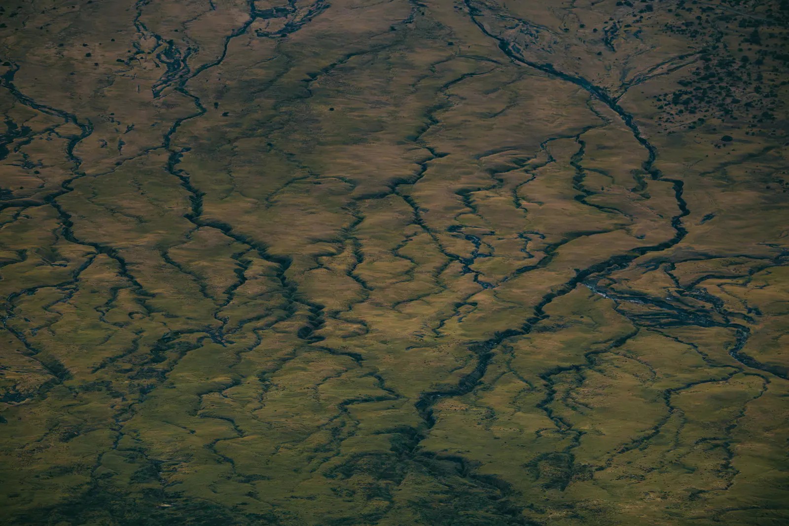 Aerial patterns of river channels and ridges
