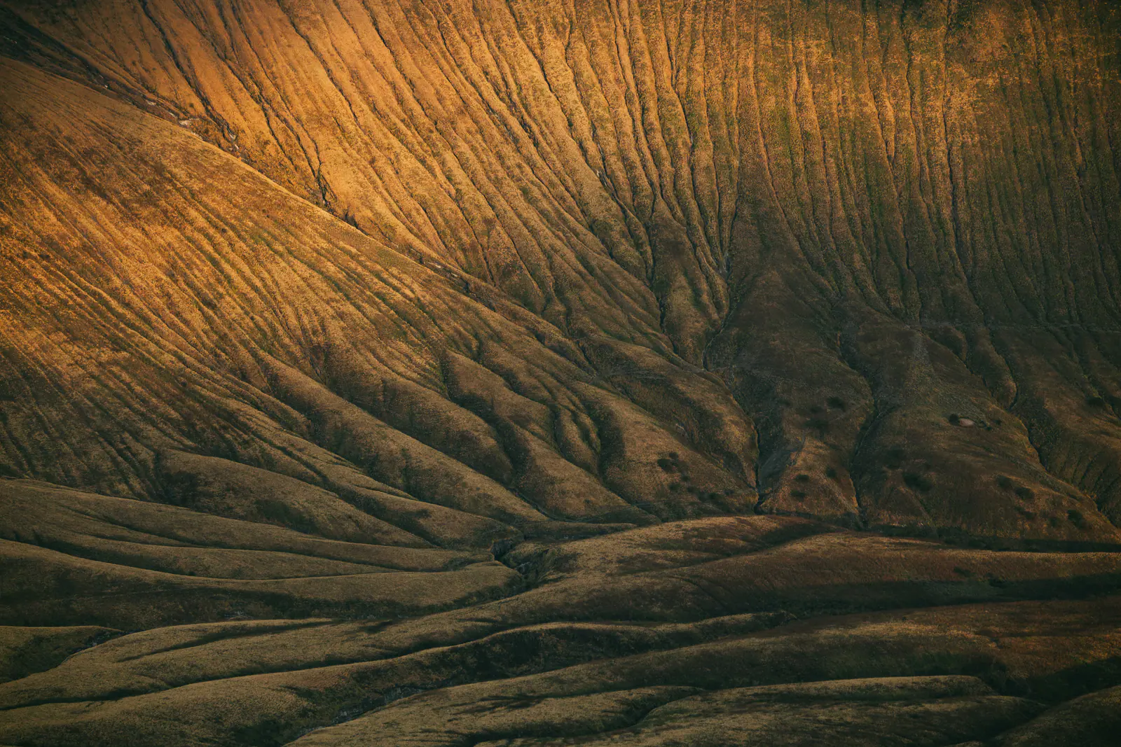 Aerial patterns of river channels and ridges