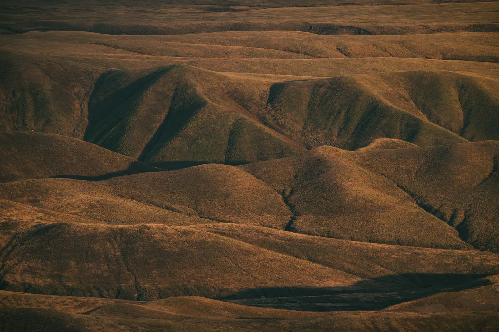 Aerial patterns of river channels and ridges