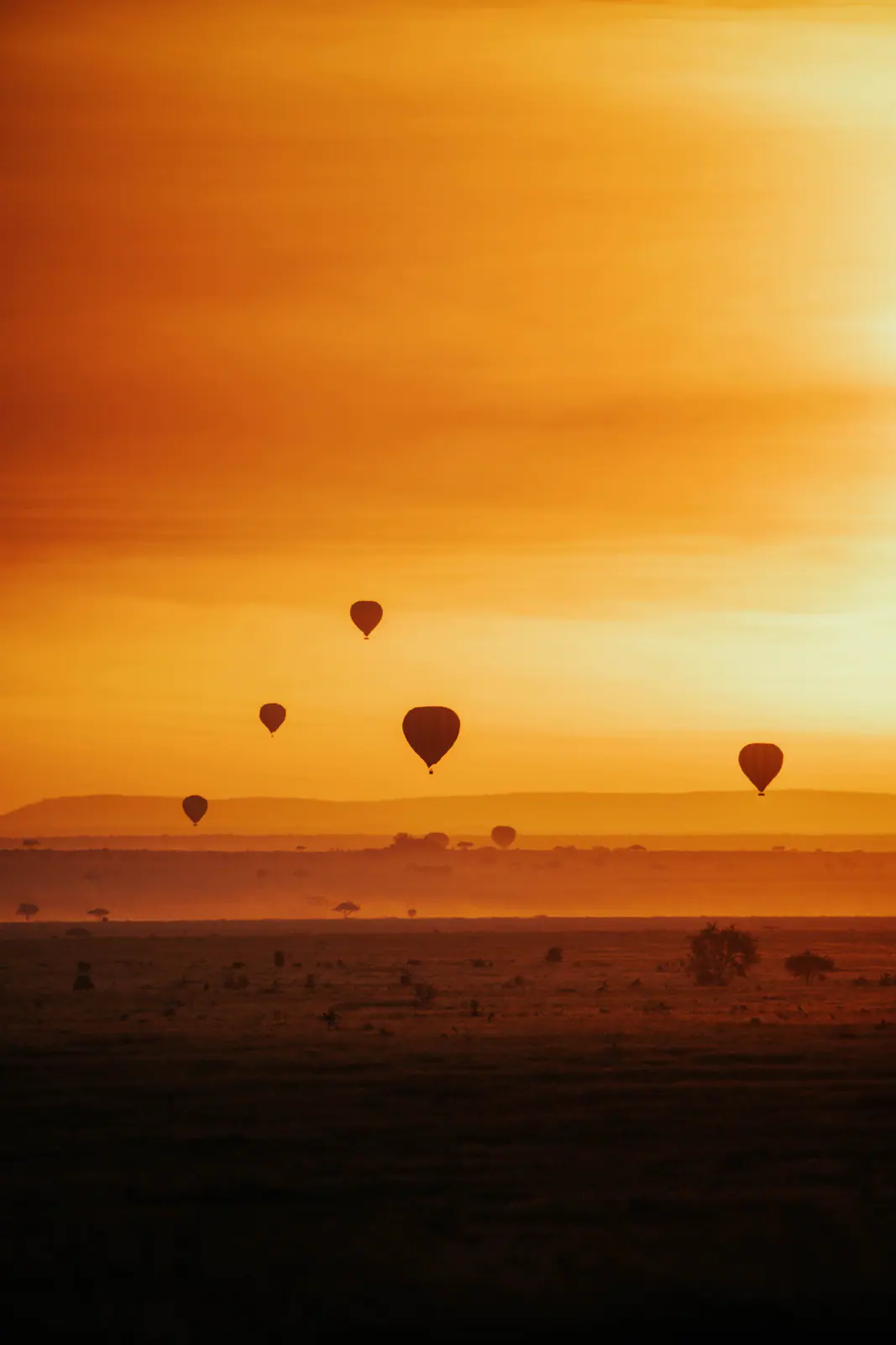 Sunrise hot air balloon safari over the Serengeti