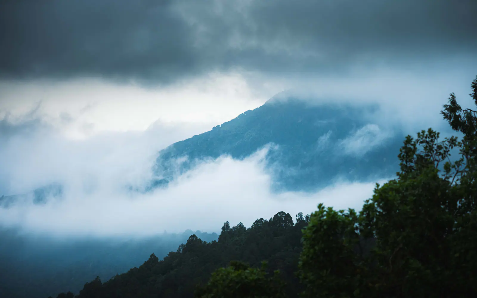 Mountain peaks rising through a cloud sea