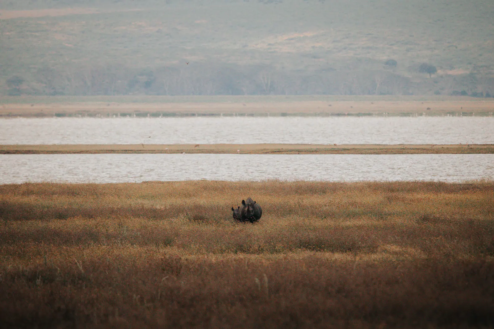 Ngorongoro-Entdeckung für Familien