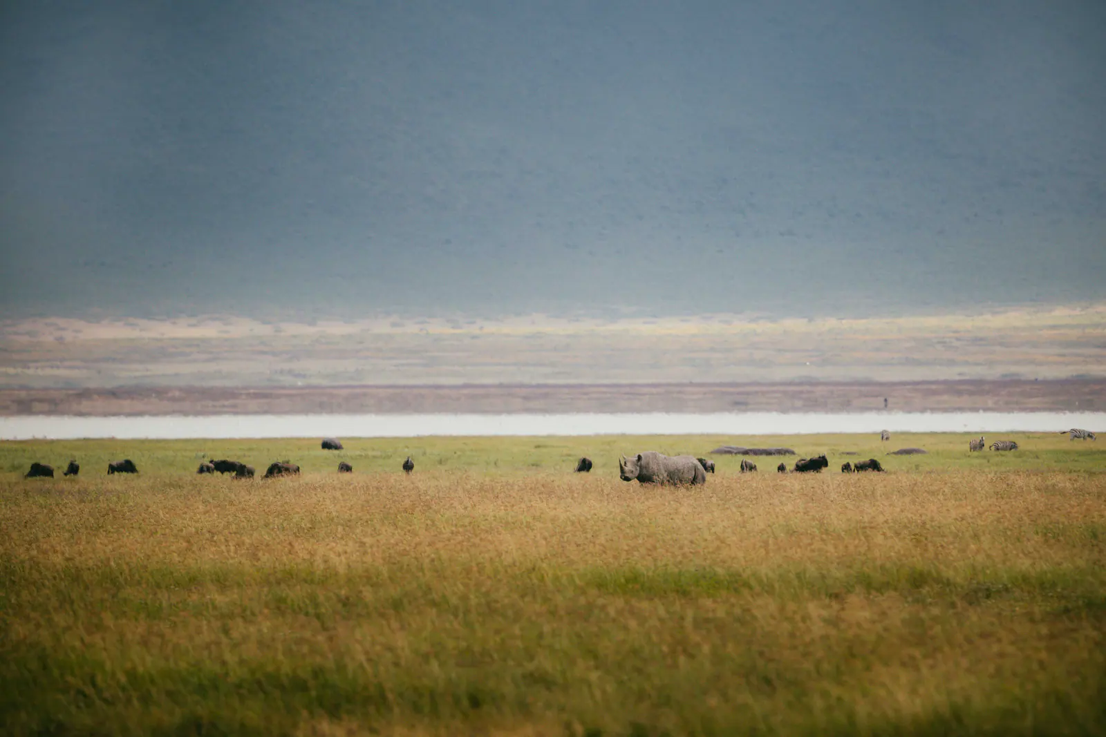 Morgennebel über dem Boden des Ngorongoro-Kraters