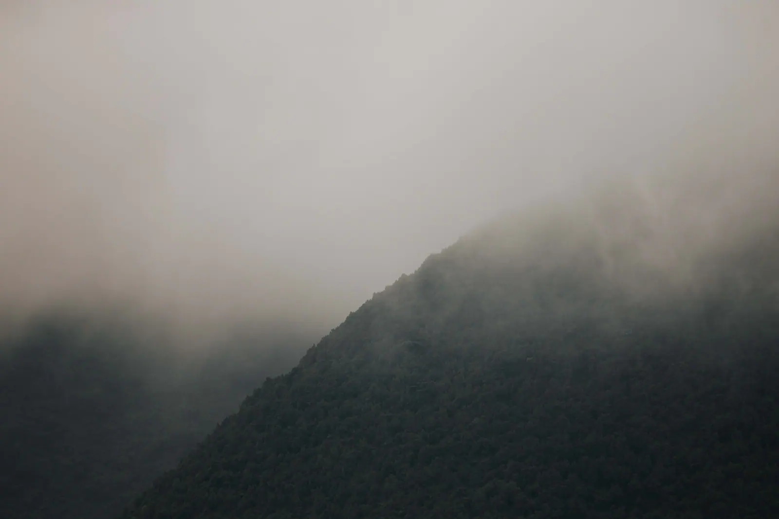 Brume matinale sur le fond du cratère du Ngorongoro