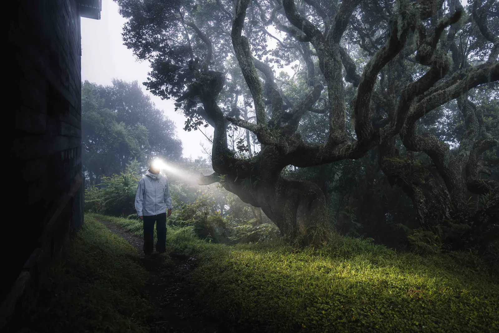 Um caminhante com lanterna frontal na floresta ao amanhecer