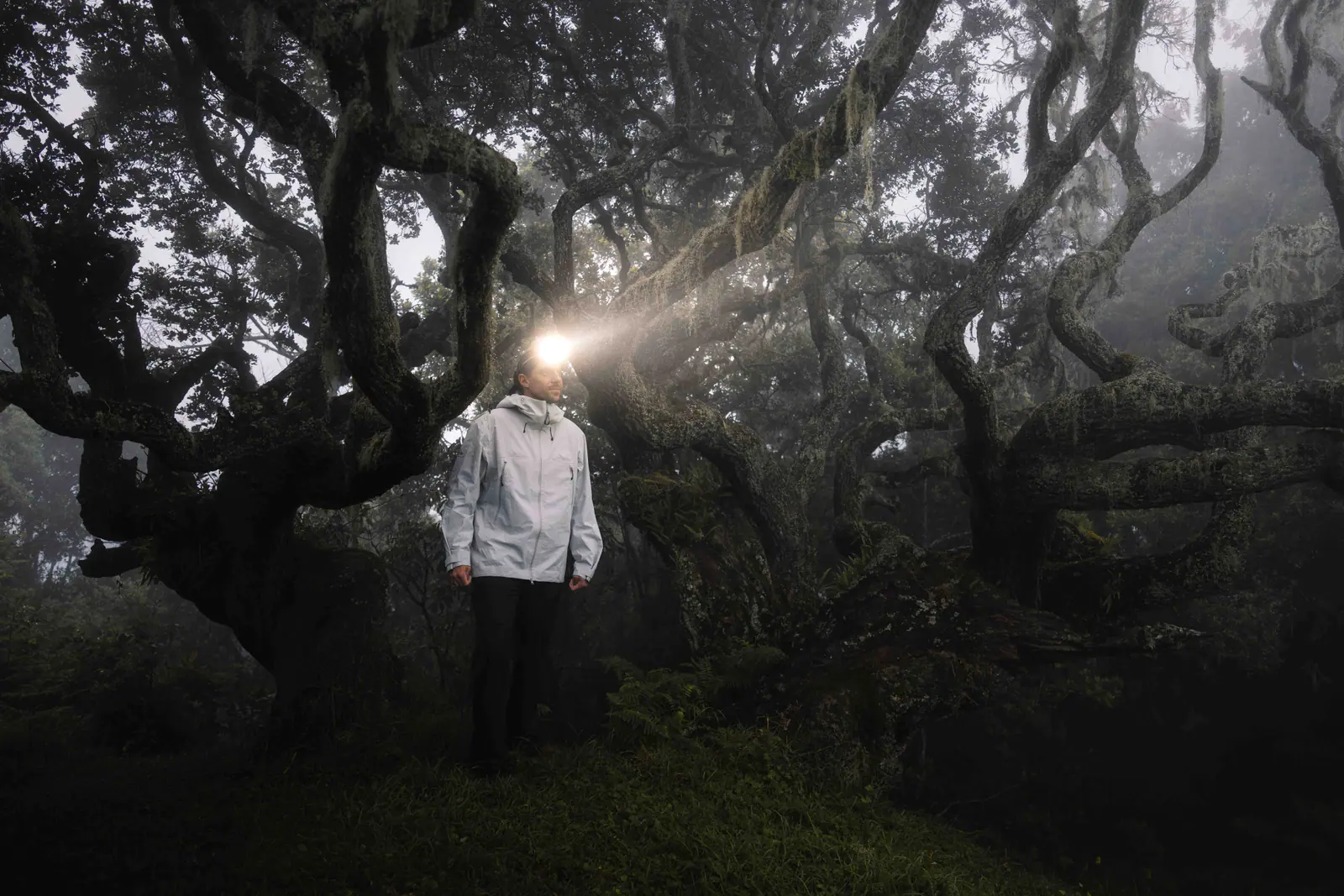 A trekker with a headlamp in forest at dawn
