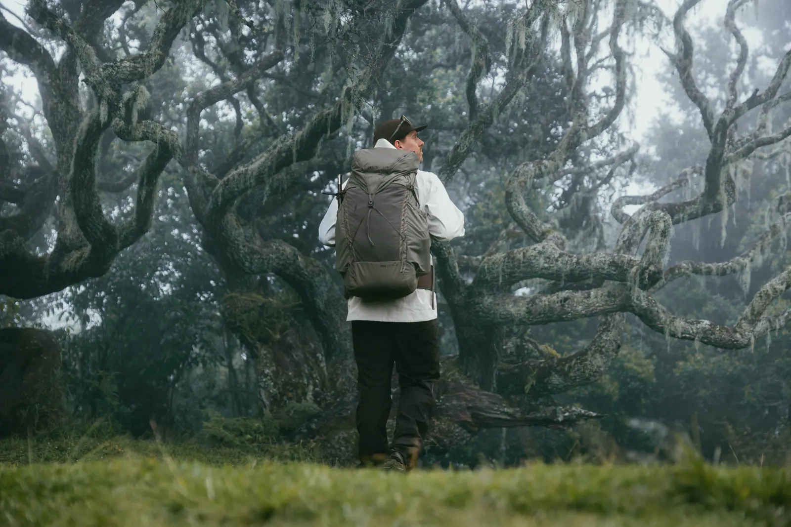 Wanderer im nebligen Bergwald