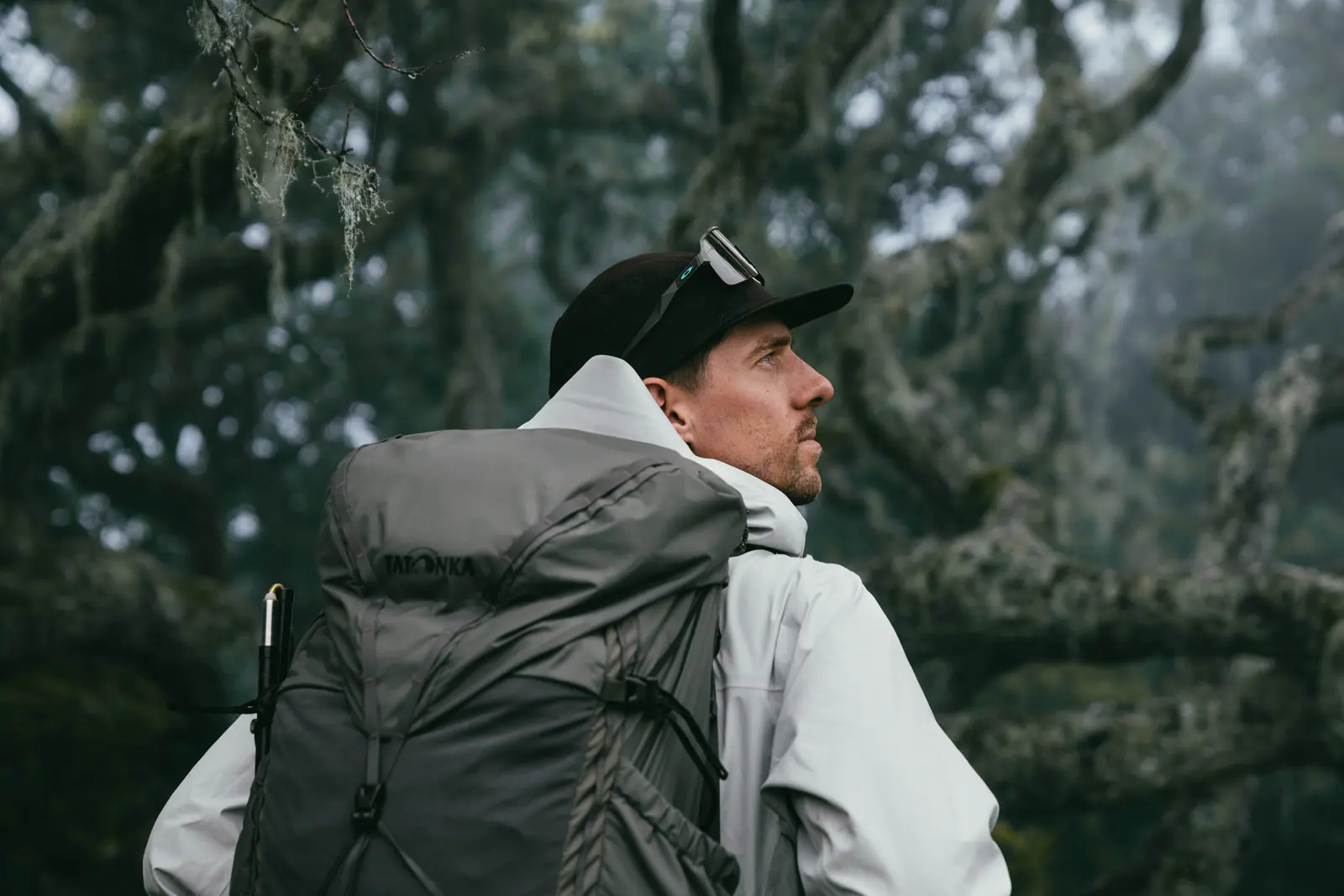 Trekkers walking through misty montane forest