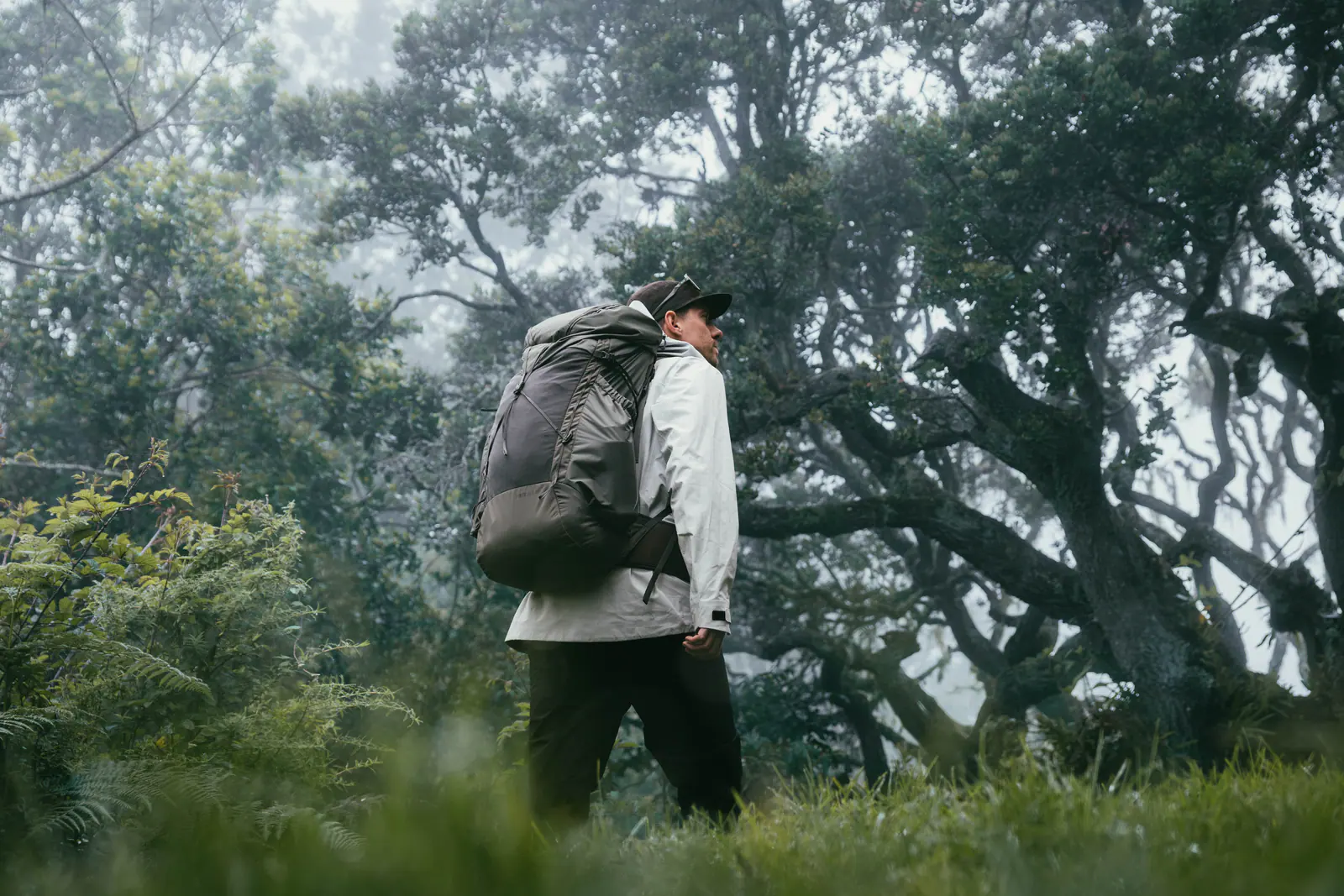 Trekkers walking through misty montane forest