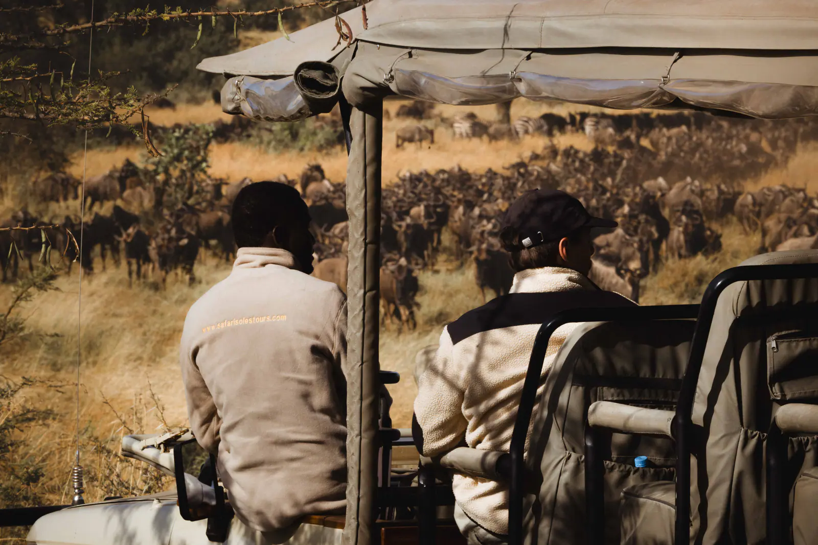 Safari vehicle watching wildlife in Tanzania