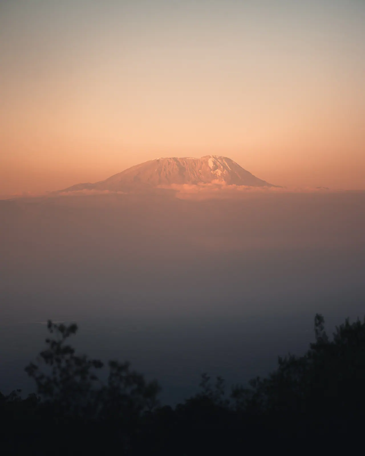 A silhueta do Kilimanjaro acima da neblina