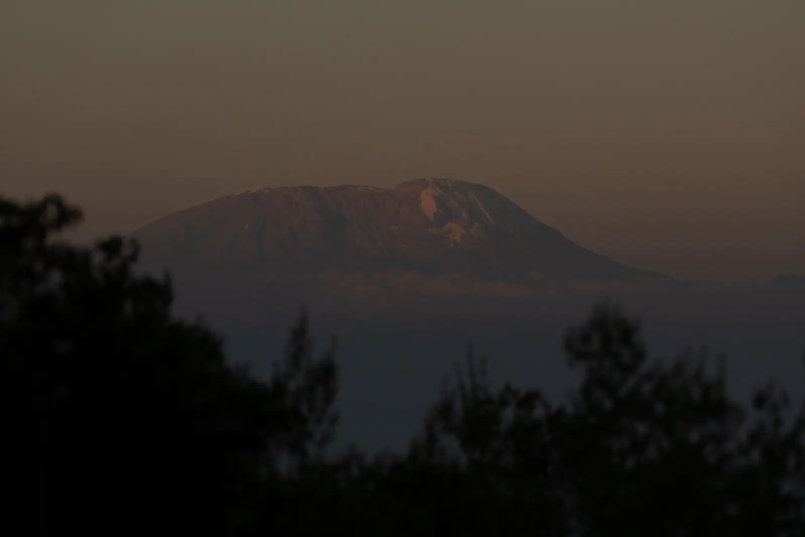 Kilimanjaro Guide