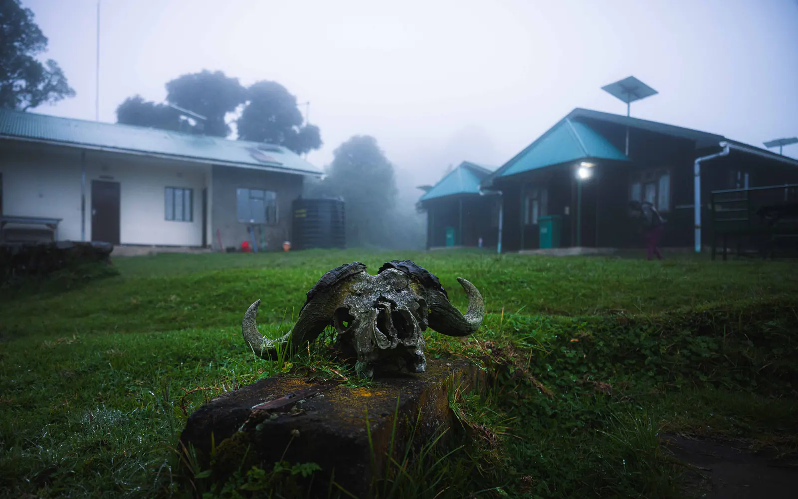 A mountain hut in the mist